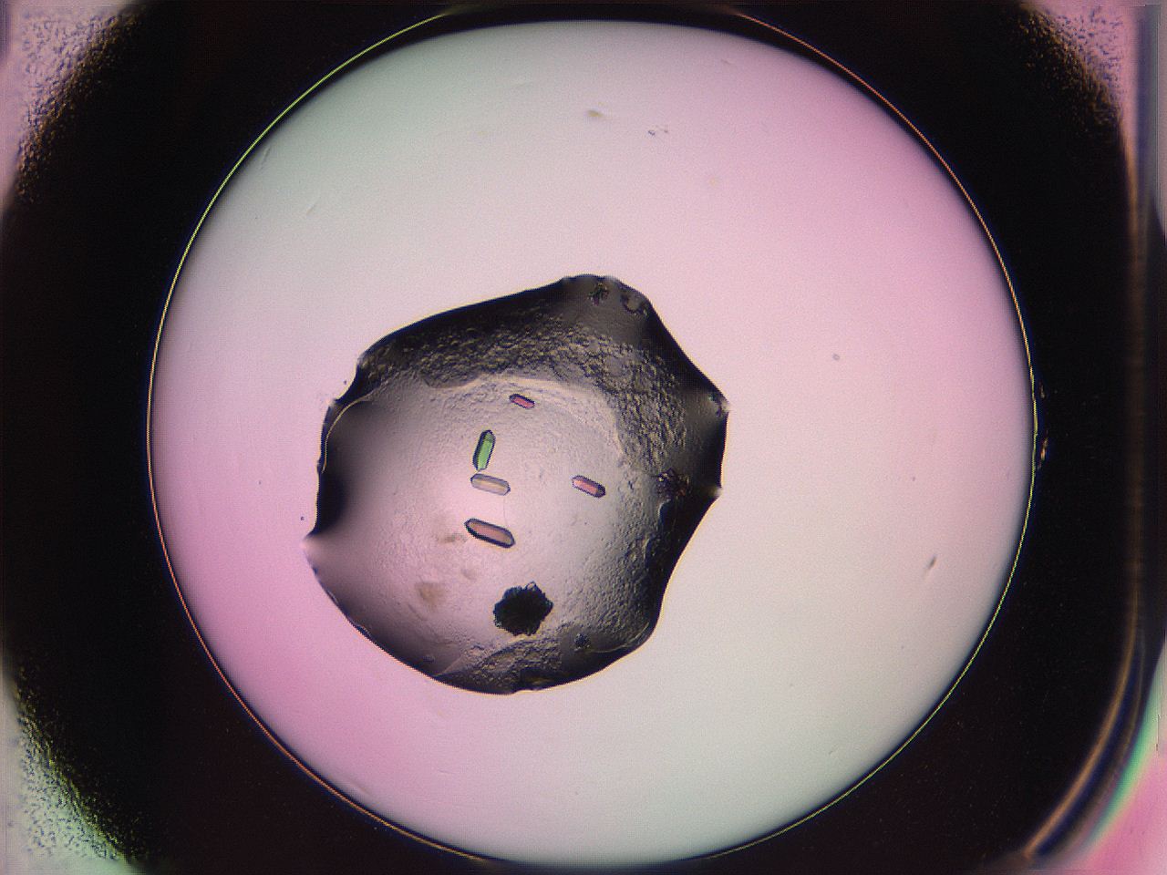 063z_A1_ImagerDefaults_0.jpg