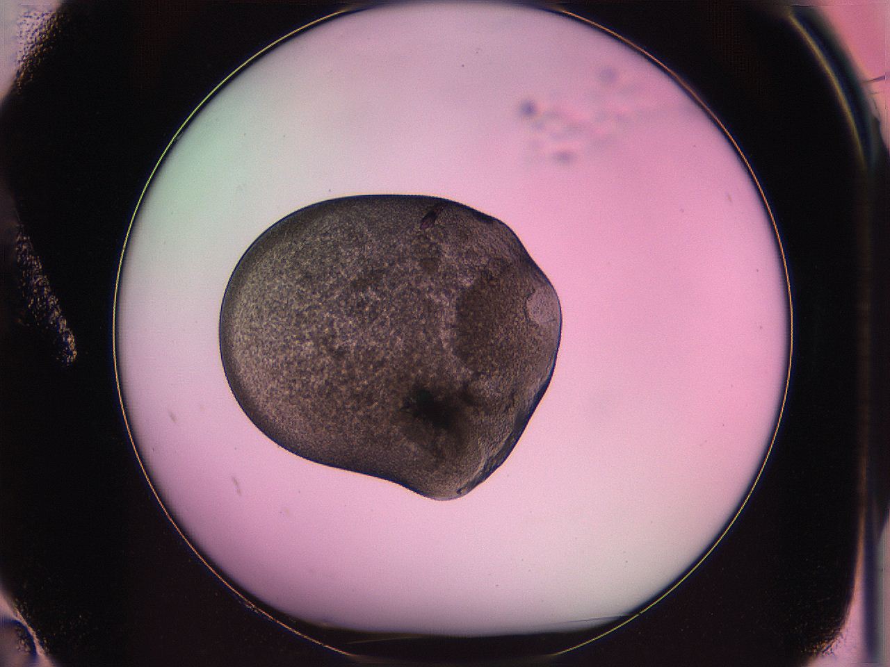 063z_A2_ImagerDefaults_3.jpg