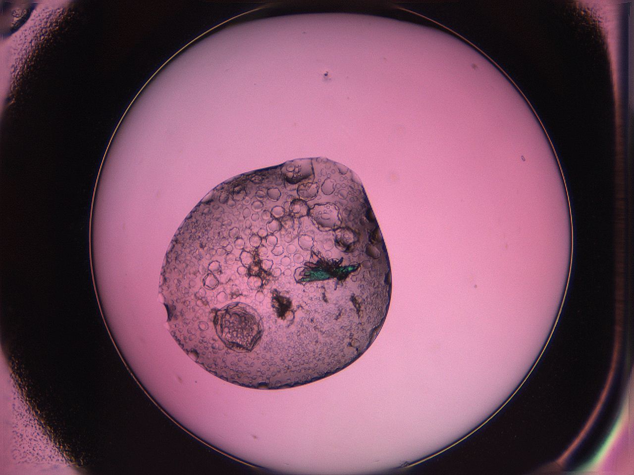 063z_A5_ImagerDefaults_2.jpg