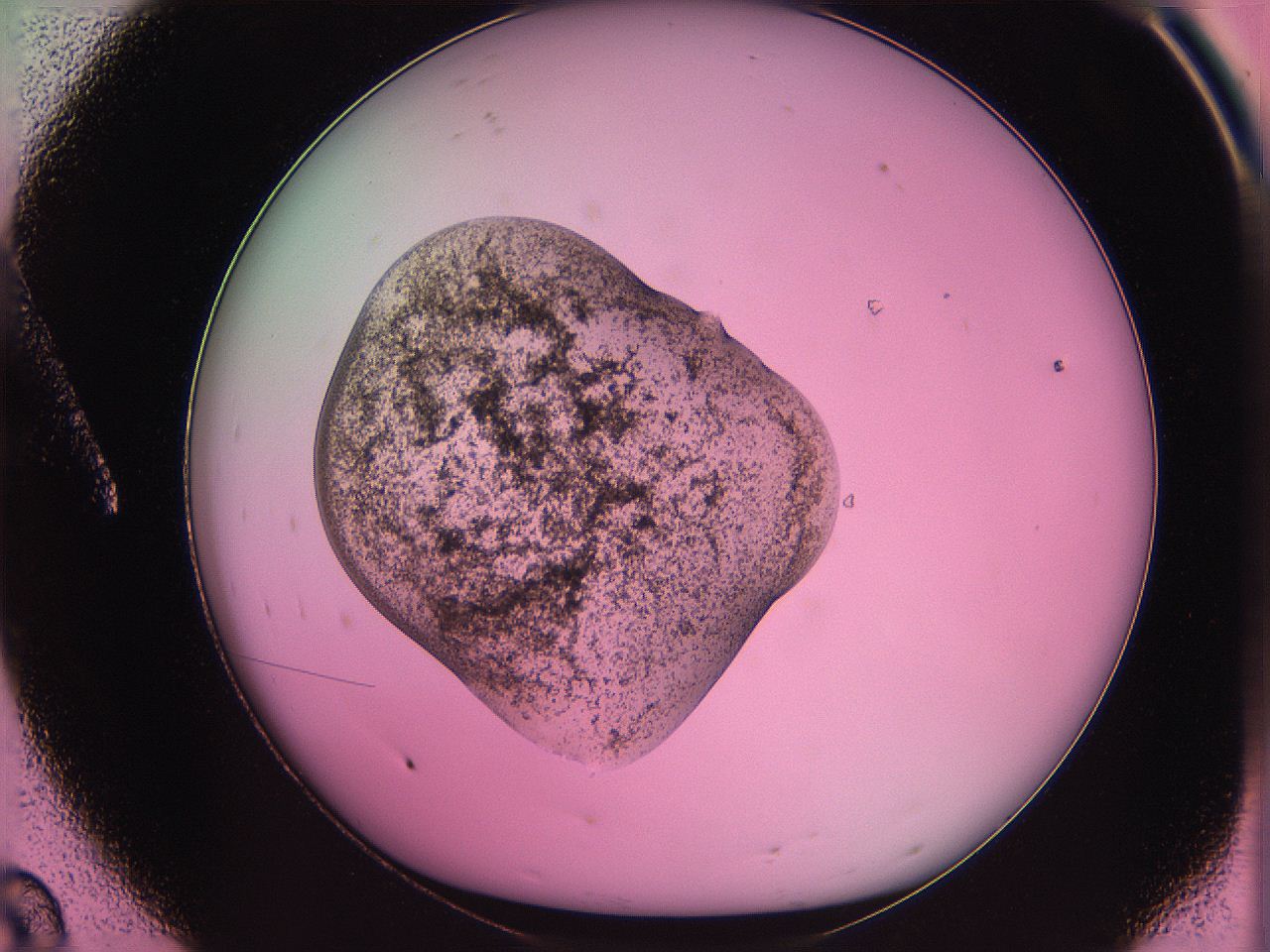 063z_A8_ImagerDefaults_3.jpg