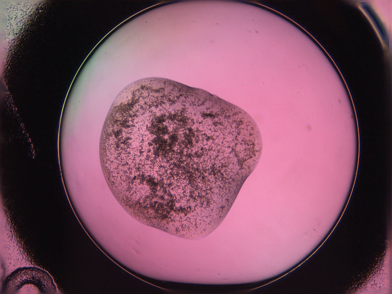 063z_A10_ImagerDefaults_3.jpg