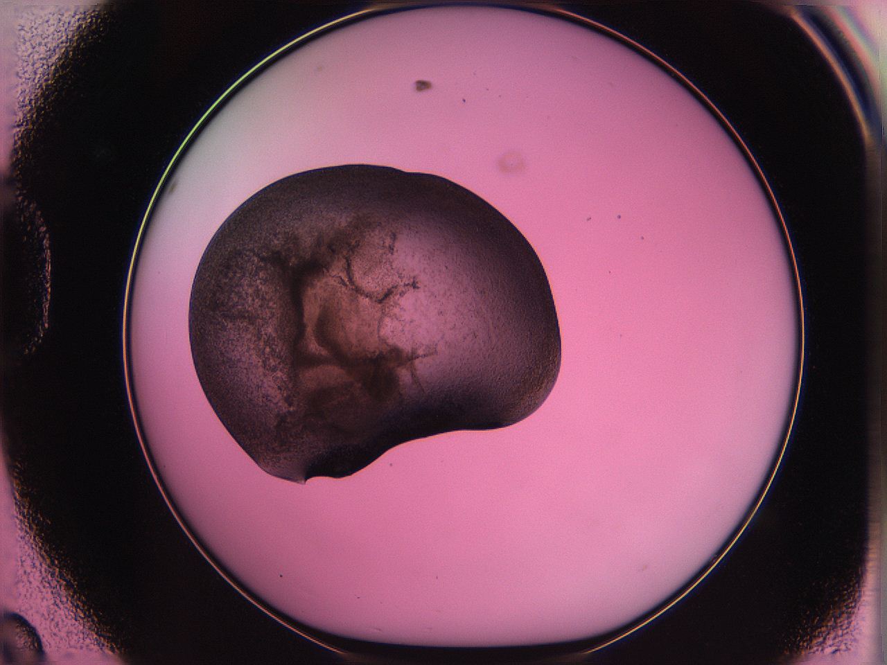 063z_D8_ImagerDefaults_3.jpg