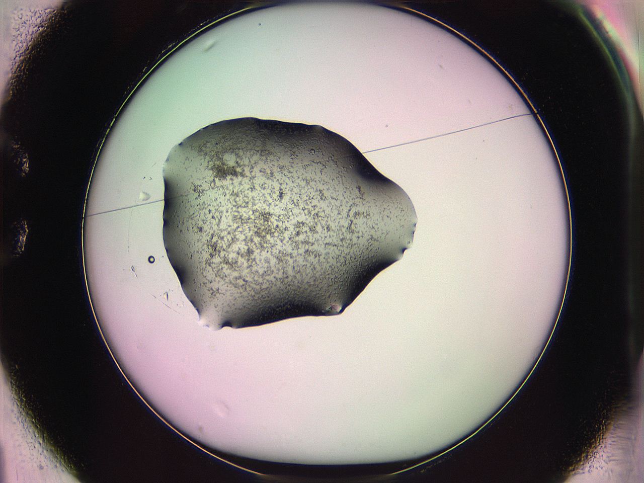 063z_C1_ImagerDefaults_3.jpg