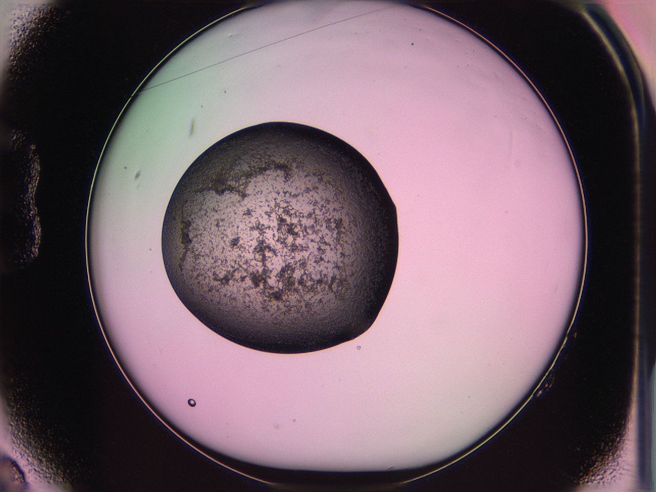 063z_B2_ImagerDefaults_3.jpg