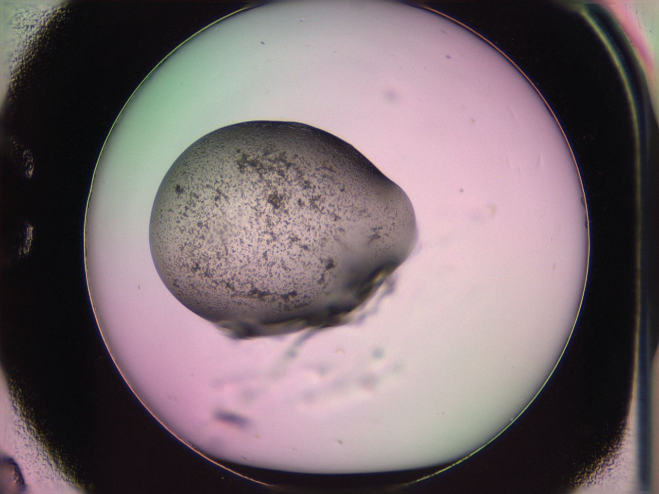 063z_C2_ImagerDefaults_3.jpg