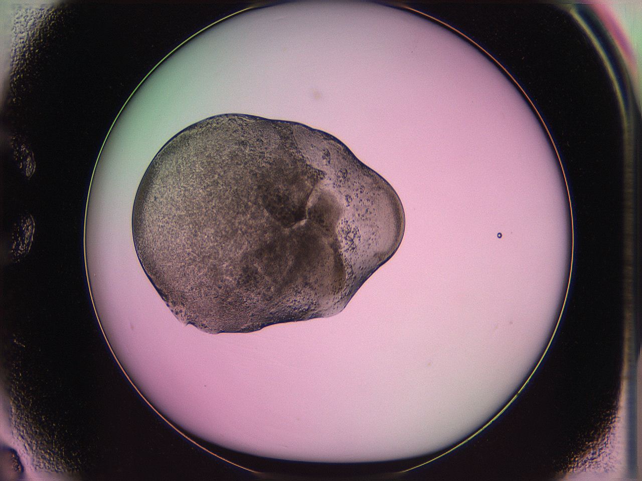 063z_C3_ImagerDefaults_3.jpg