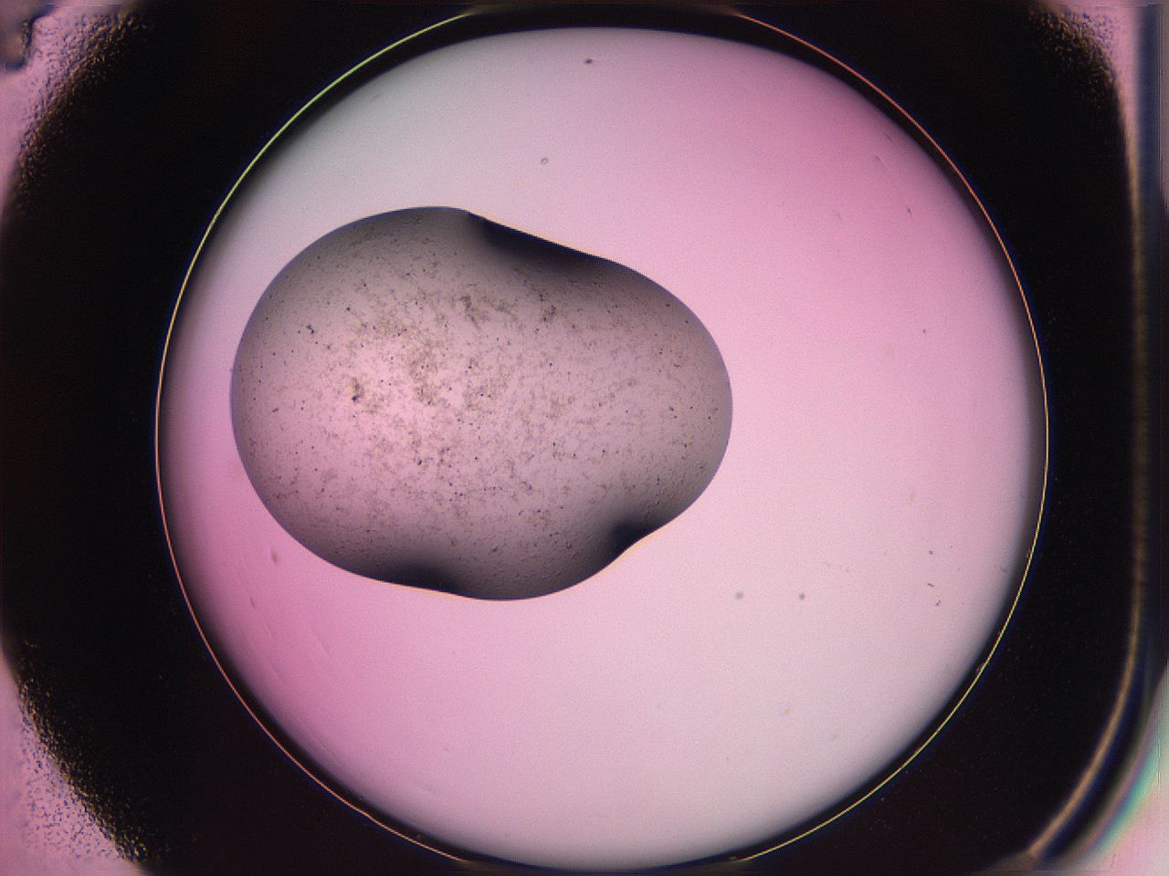 063z_C4_ImagerDefaults_3.jpg