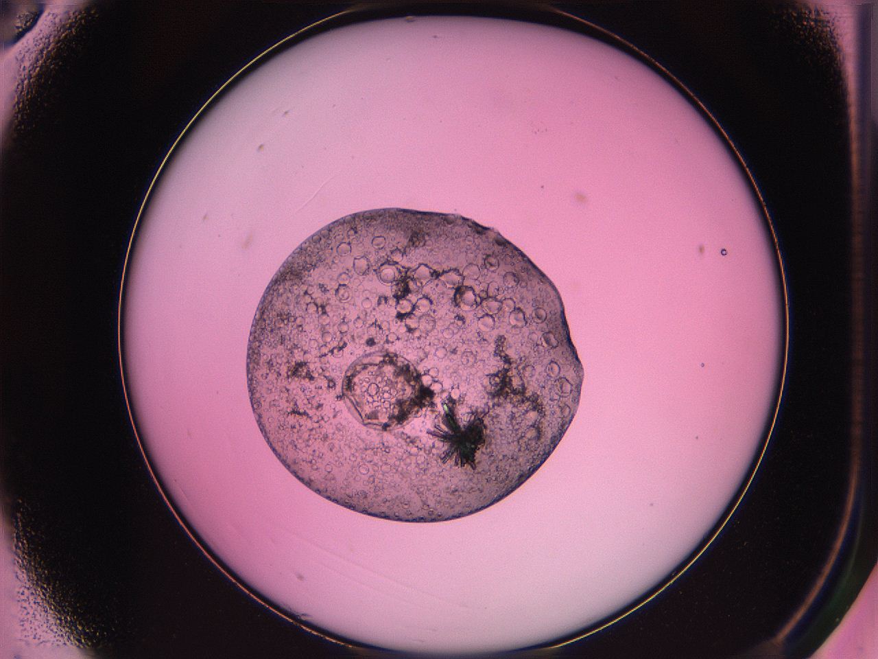 063z_A3_ImagerDefaults_3.jpg