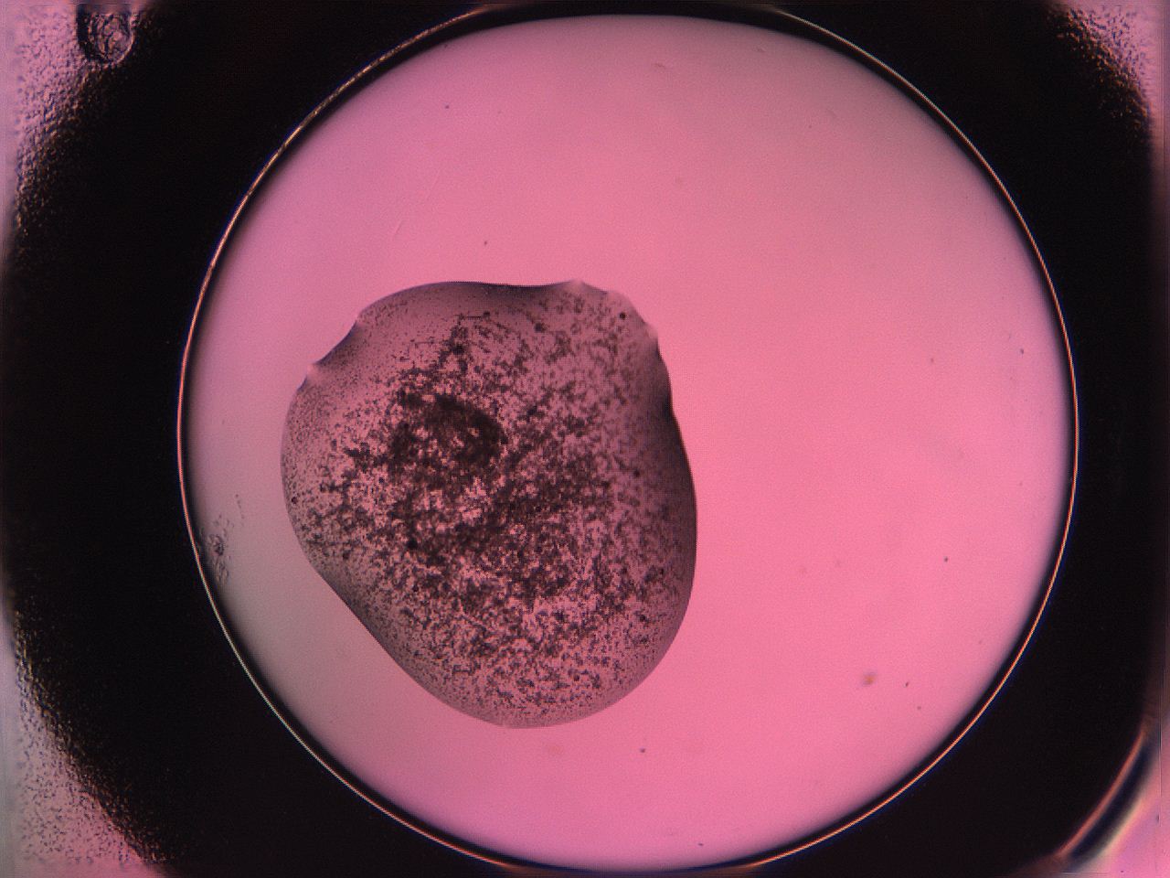 063z_A11_ImagerDefaults_3.jpg