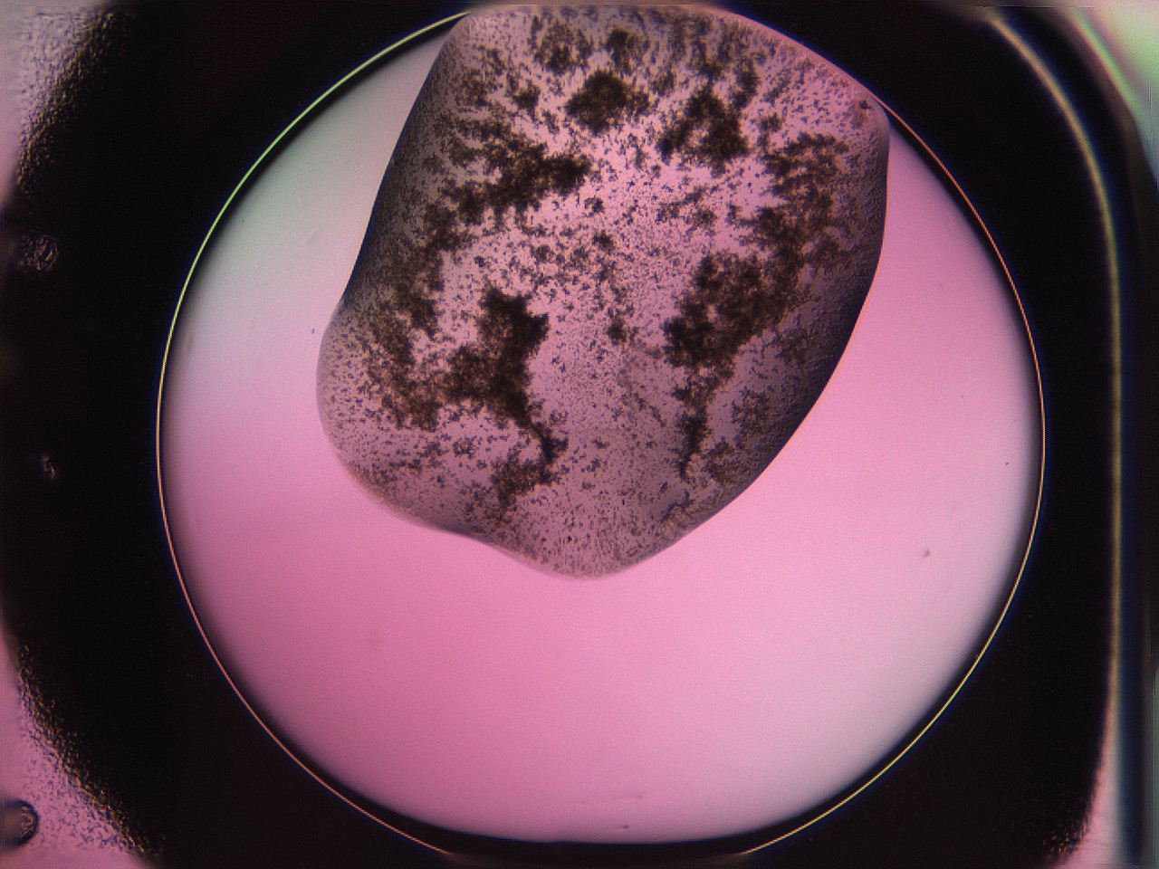 063z_E5_ImagerDefaults_3.jpg