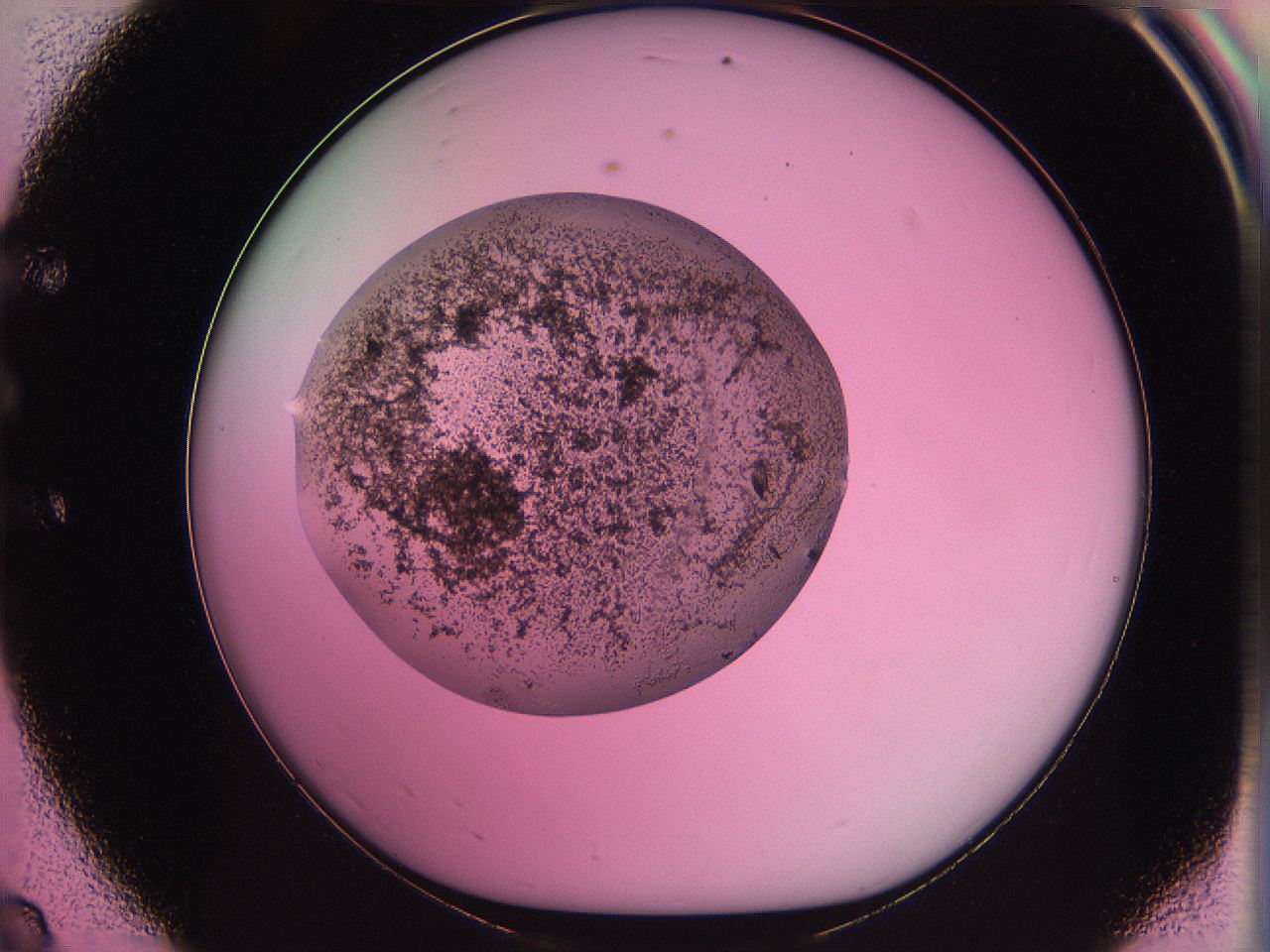 063z_E8_ImagerDefaults_3.jpg