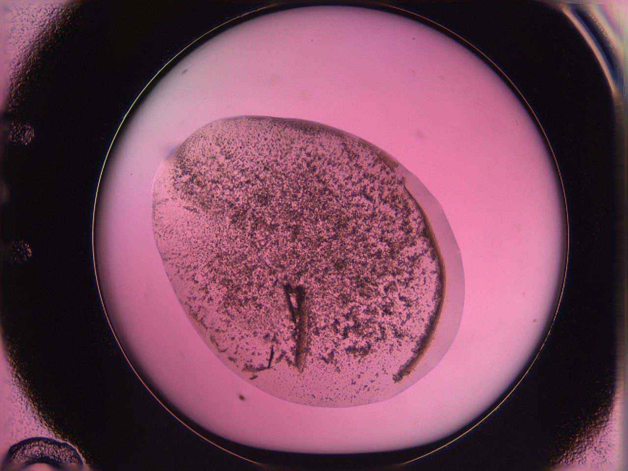 063z_E10_ImagerDefaults_3.jpg