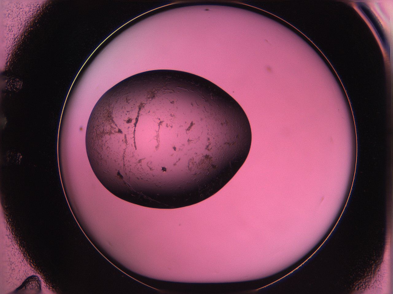 063z_E11_ImagerDefaults_3.jpg