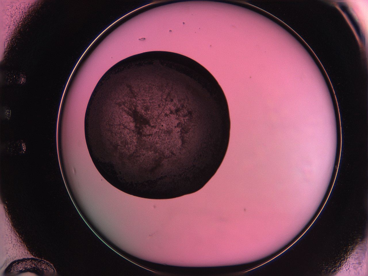 063z_E12_ImagerDefaults_3.jpg