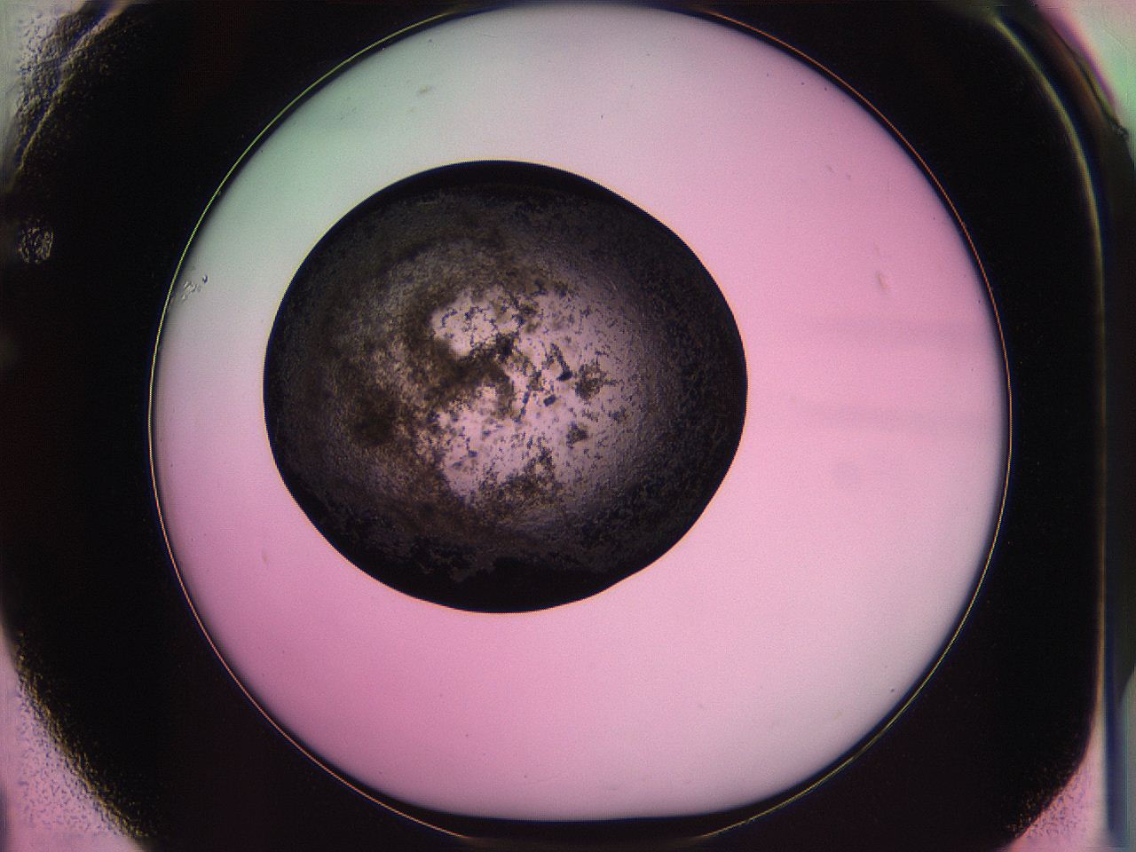 063z_F1_ImagerDefaults_3.jpg