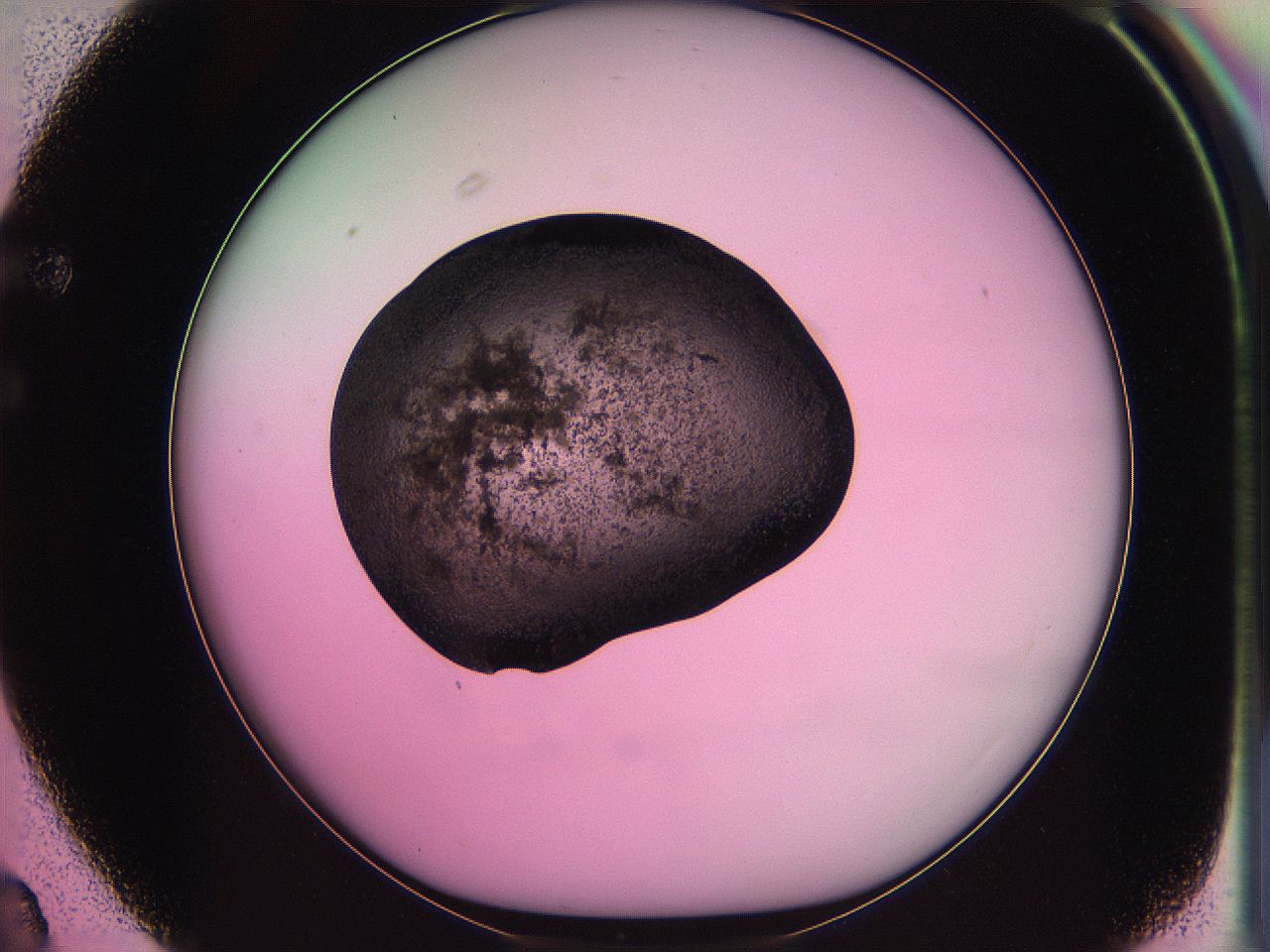 063z_F3_ImagerDefaults_3.jpg