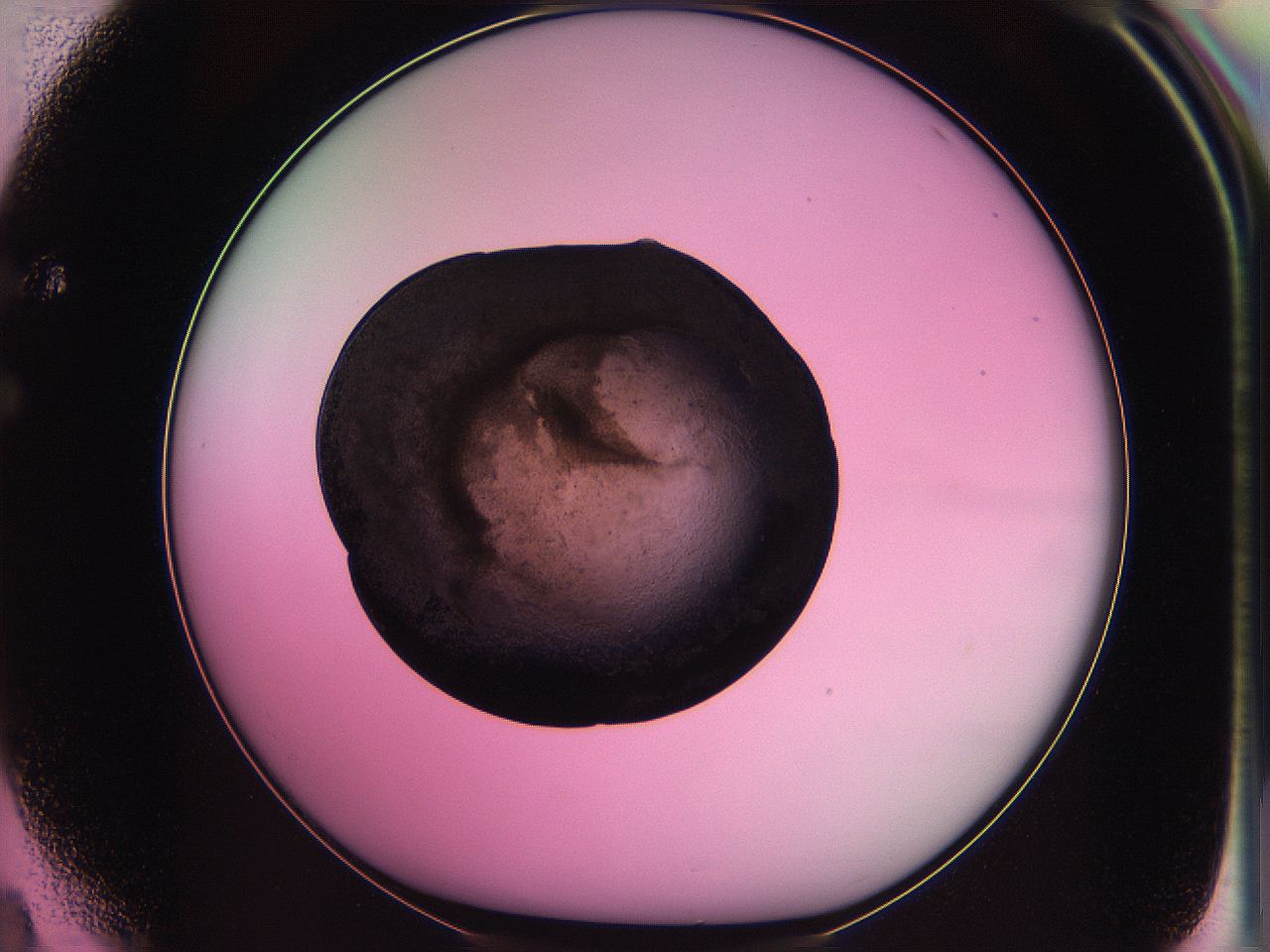 063z_F4_ImagerDefaults_3.jpg