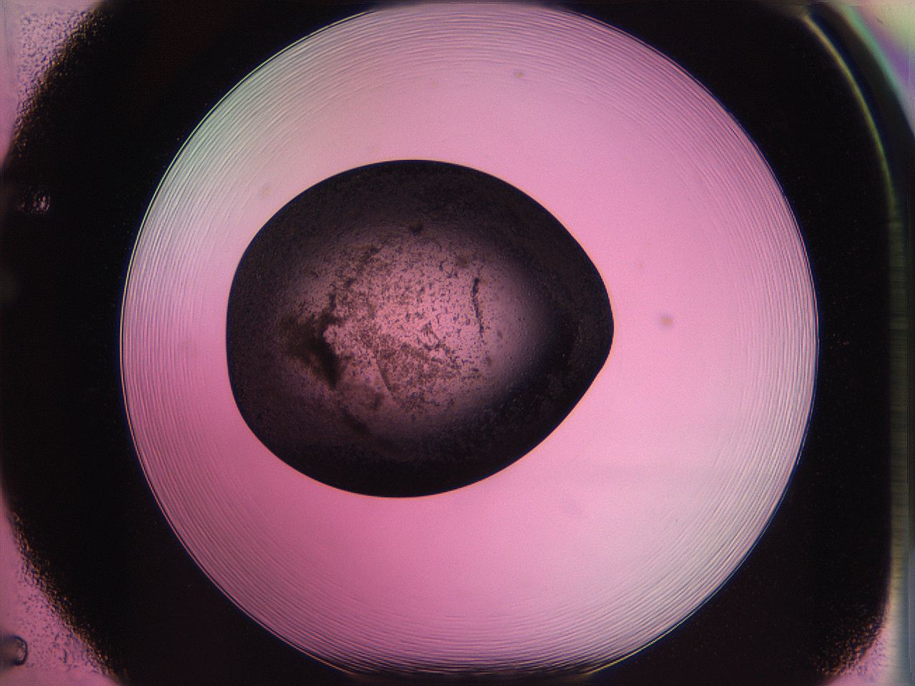 063z_F5_ImagerDefaults_3.jpg