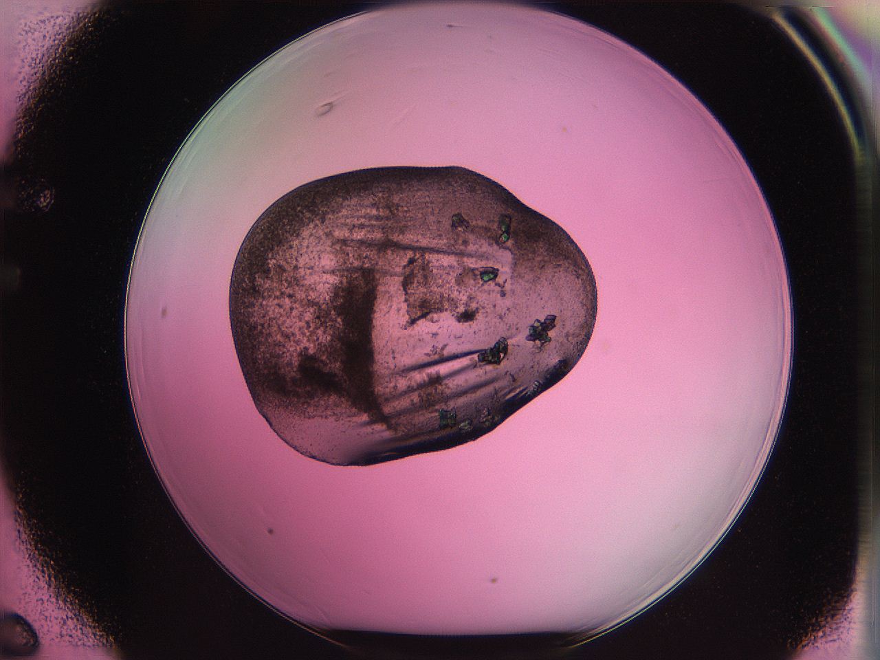 063z_F6_ImagerDefaults_3.jpg