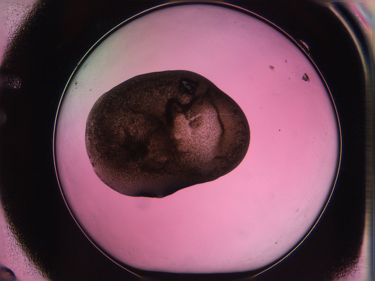 063z_F9_ImagerDefaults_3.jpg