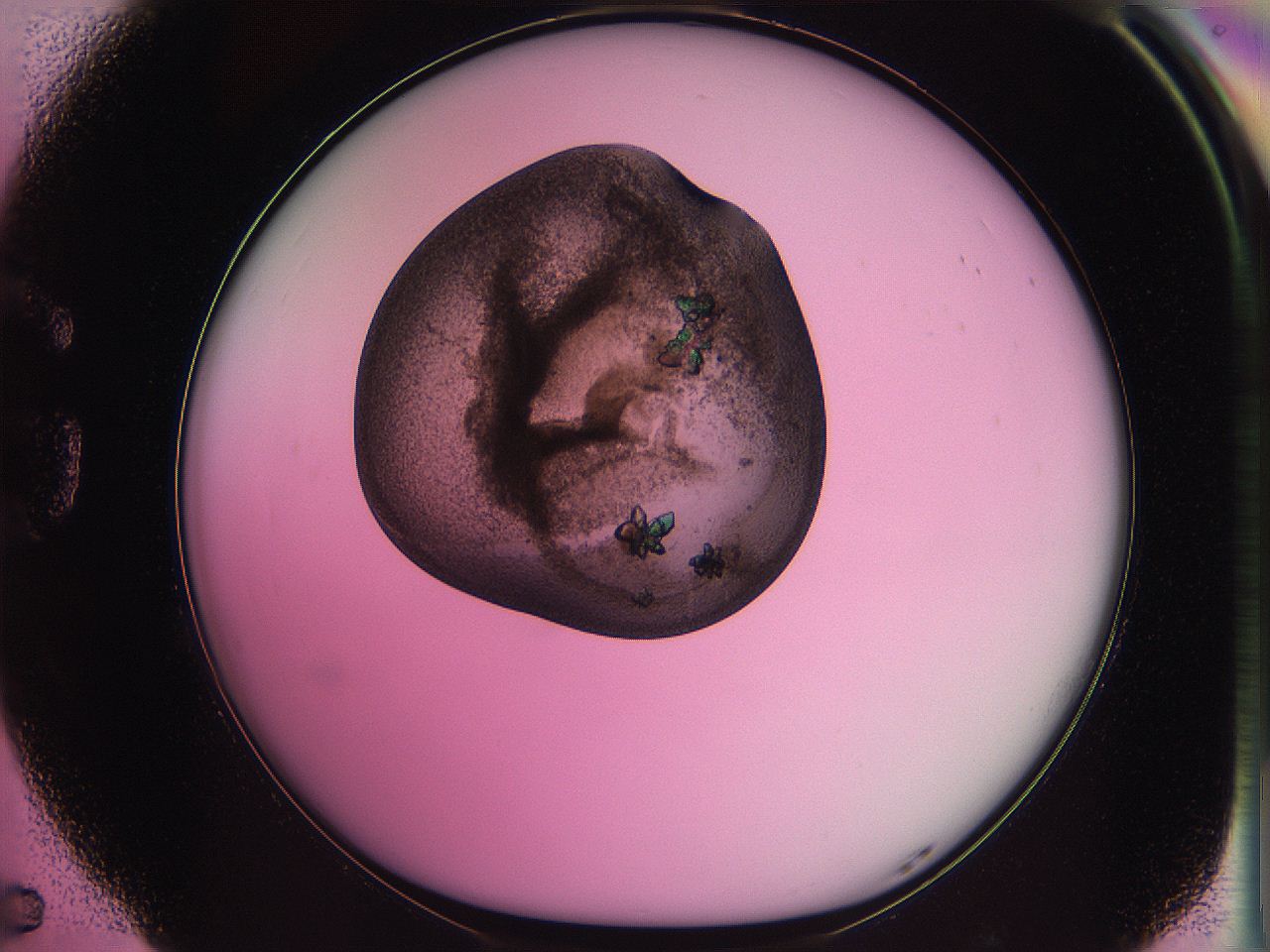 063z_G5_ImagerDefaults_3.jpg