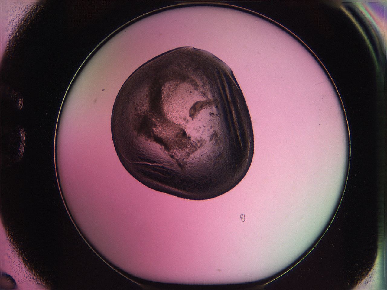 063z_G6_ImagerDefaults_3.jpg