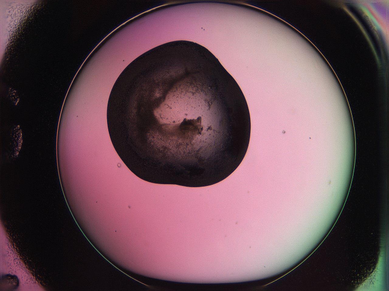 063z_G7_ImagerDefaults_3.jpg