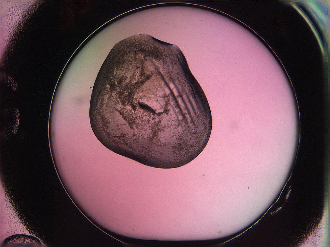 063z_G10_ImagerDefaults_3.jpg