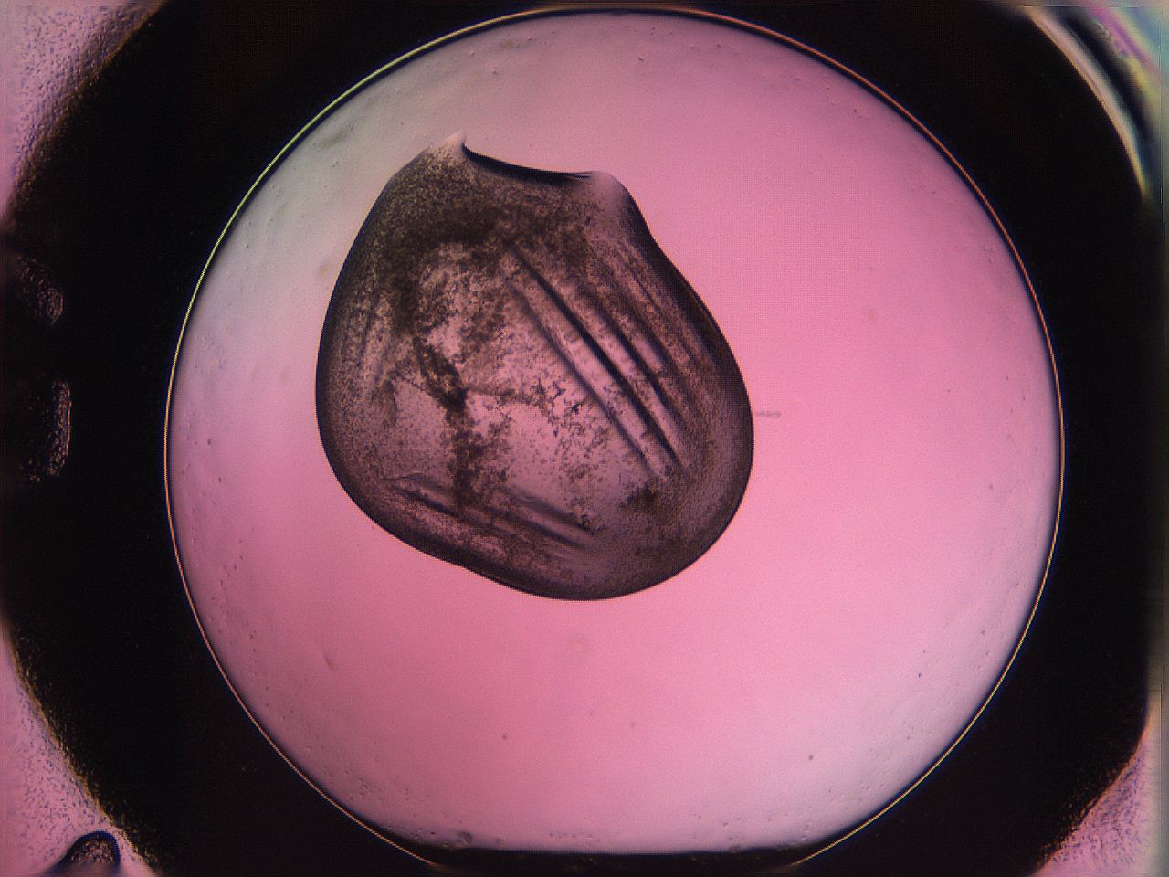 063z_G11_ImagerDefaults_3.jpg