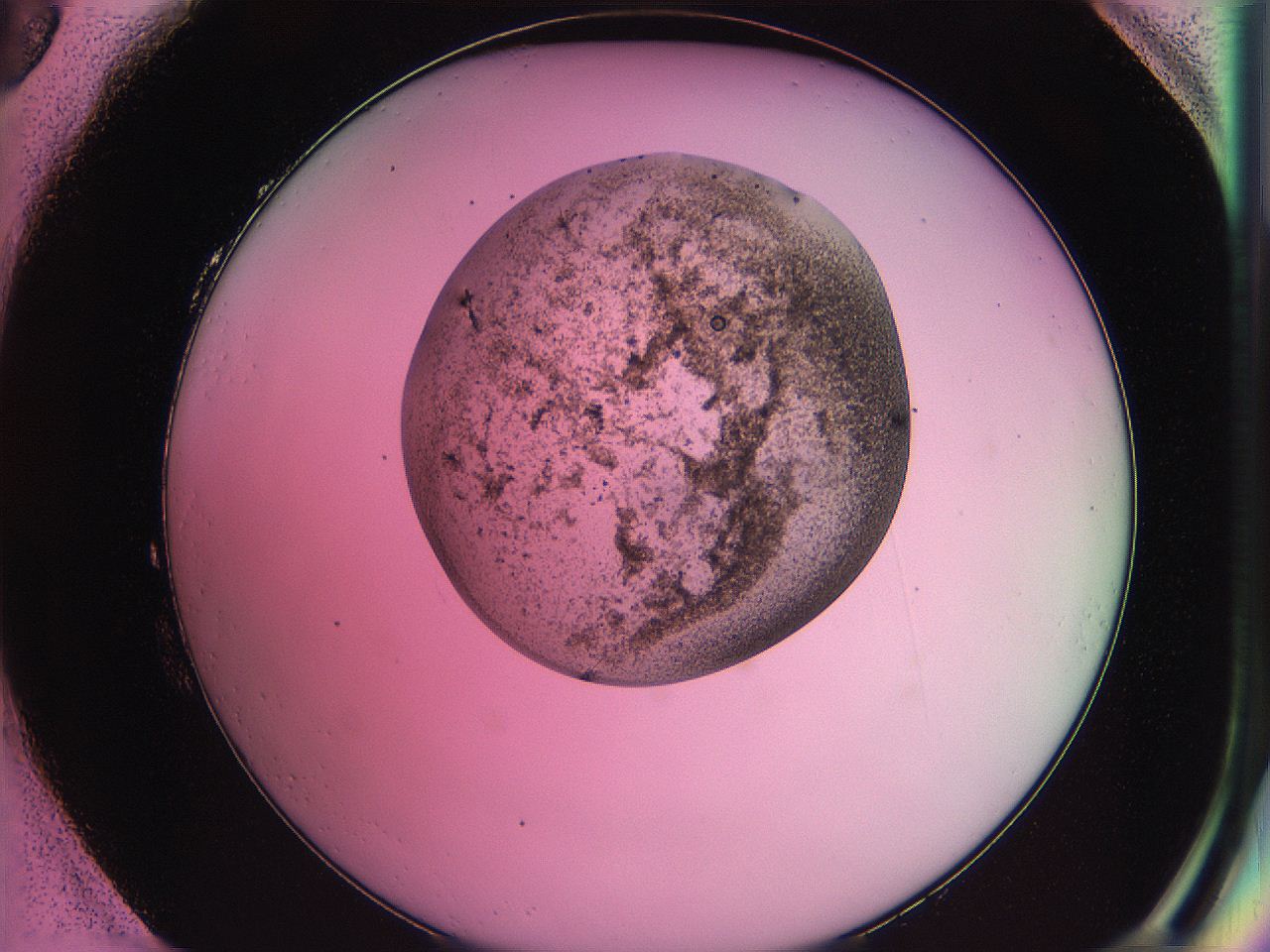 063z_H3_ImagerDefaults_3.jpg