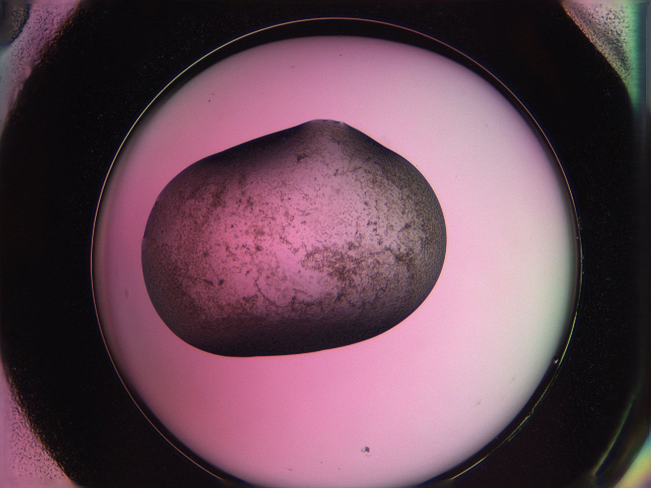 063z_H5_ImagerDefaults_3.jpg