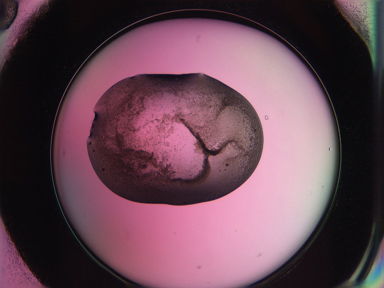 063z_H6_ImagerDefaults_3.jpg