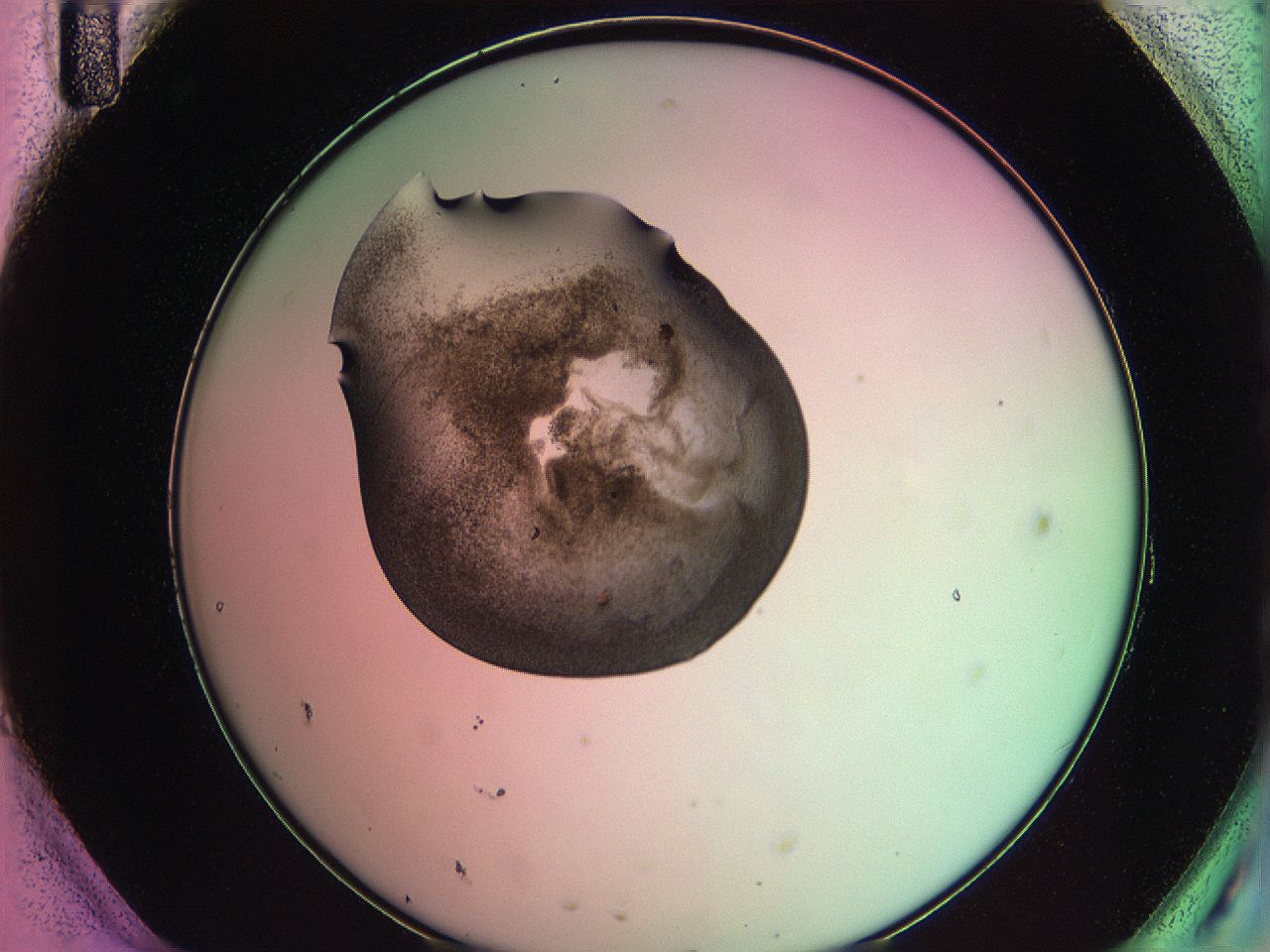 063z_H11_ImagerDefaults_3.jpg