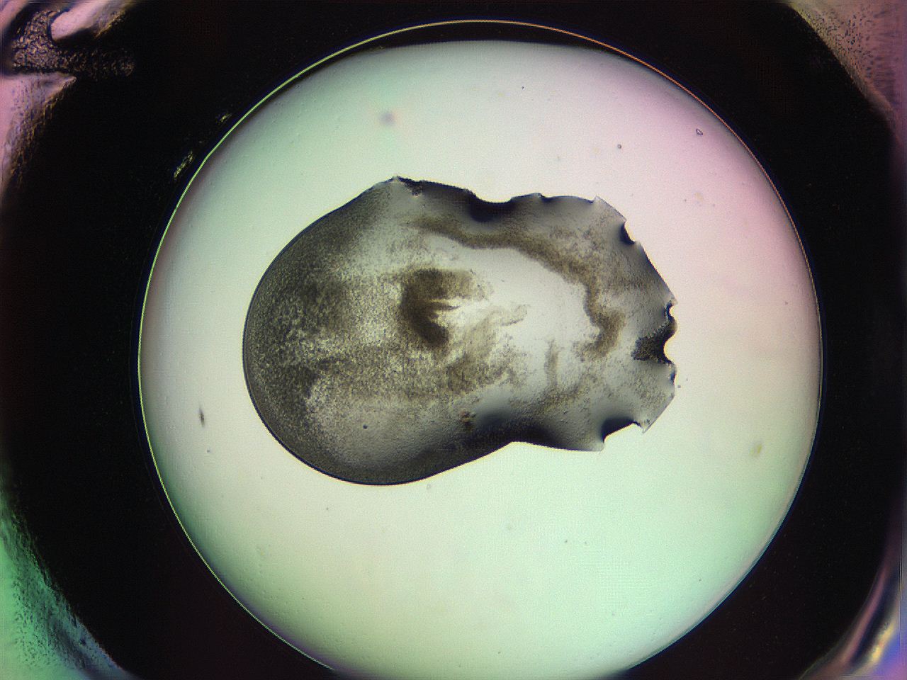 063z_H12_ImagerDefaults_3.jpg