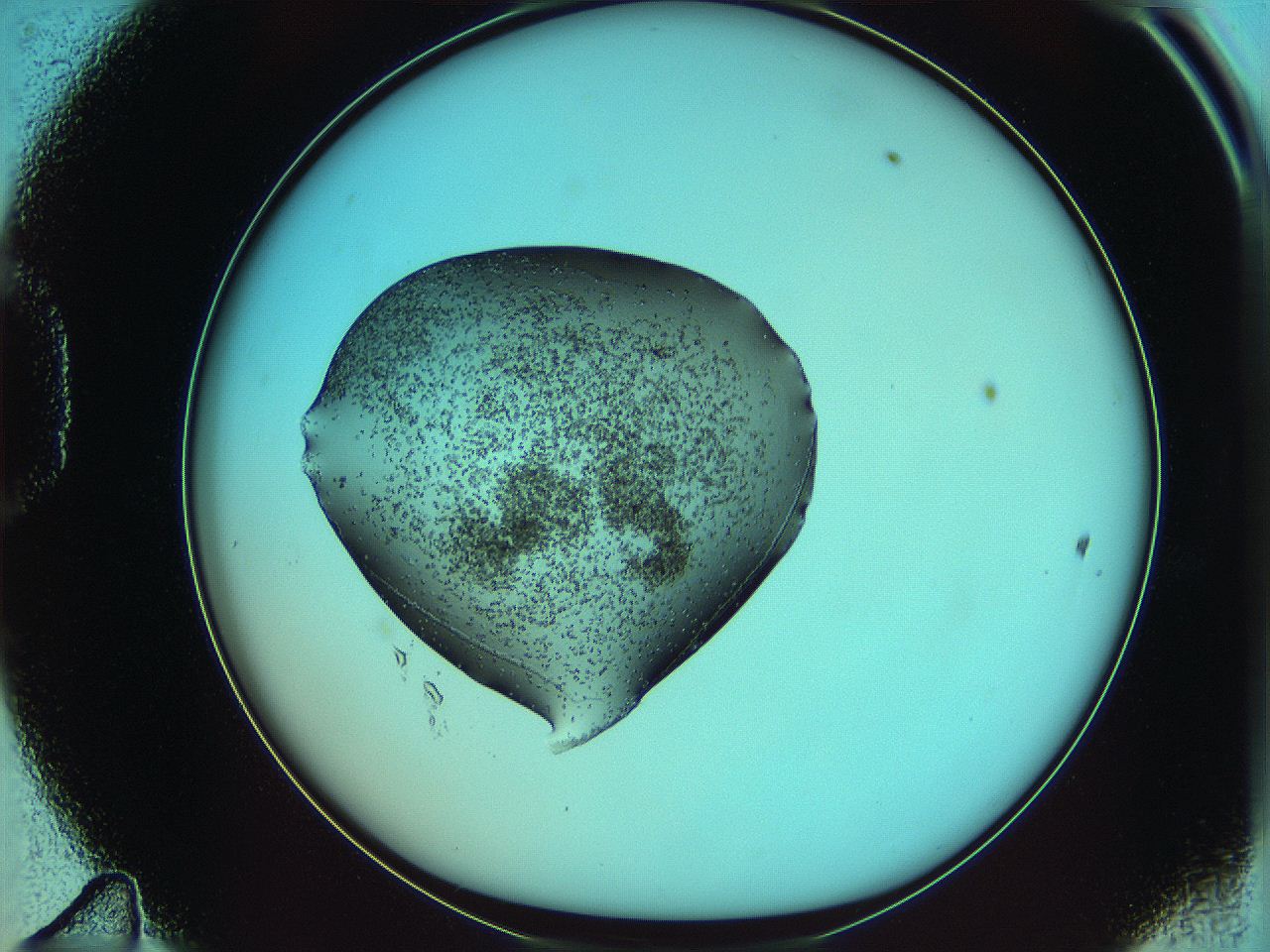 0640_D11_ImagerDefaults_8.jpg