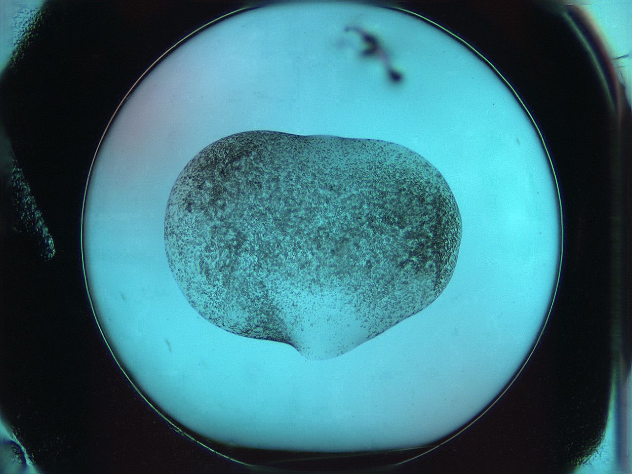 0641_A2_ImagerDefaults_6.jpg