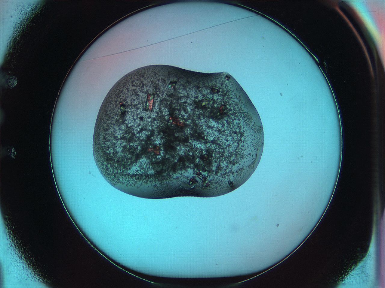 0641_E1_ImagerDefaults_3.jpg
