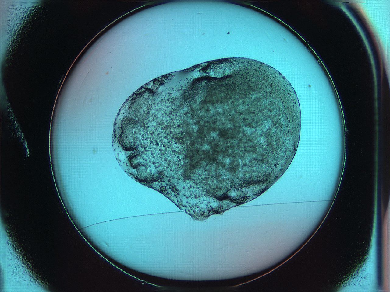 0641_A1_ImagerDefaults_6.jpg