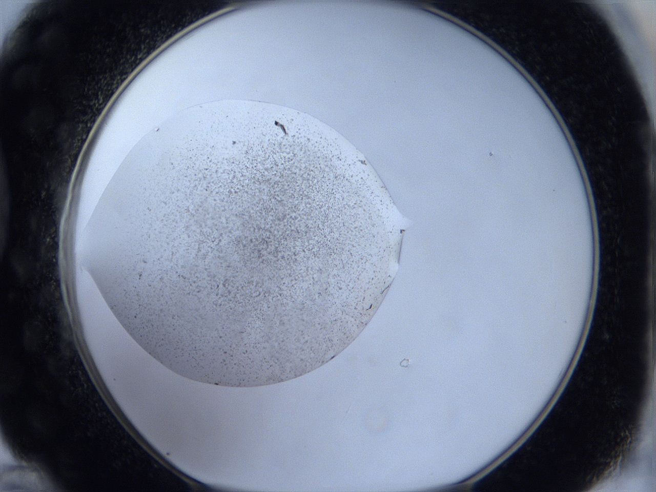 0644_D12_ImagerDefaults_6.jpg