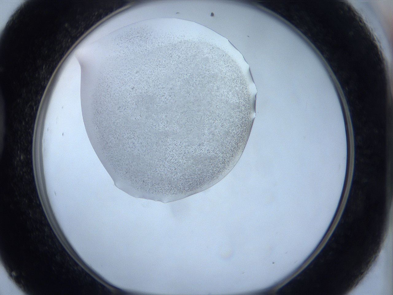 0644_D9_ImagerDefaults_6.jpg
