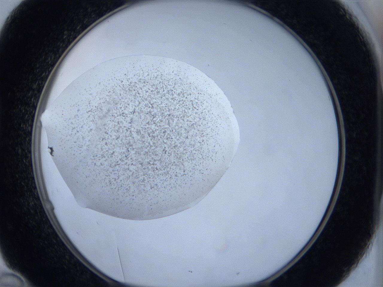0644_D10_ImagerDefaults_6.jpg