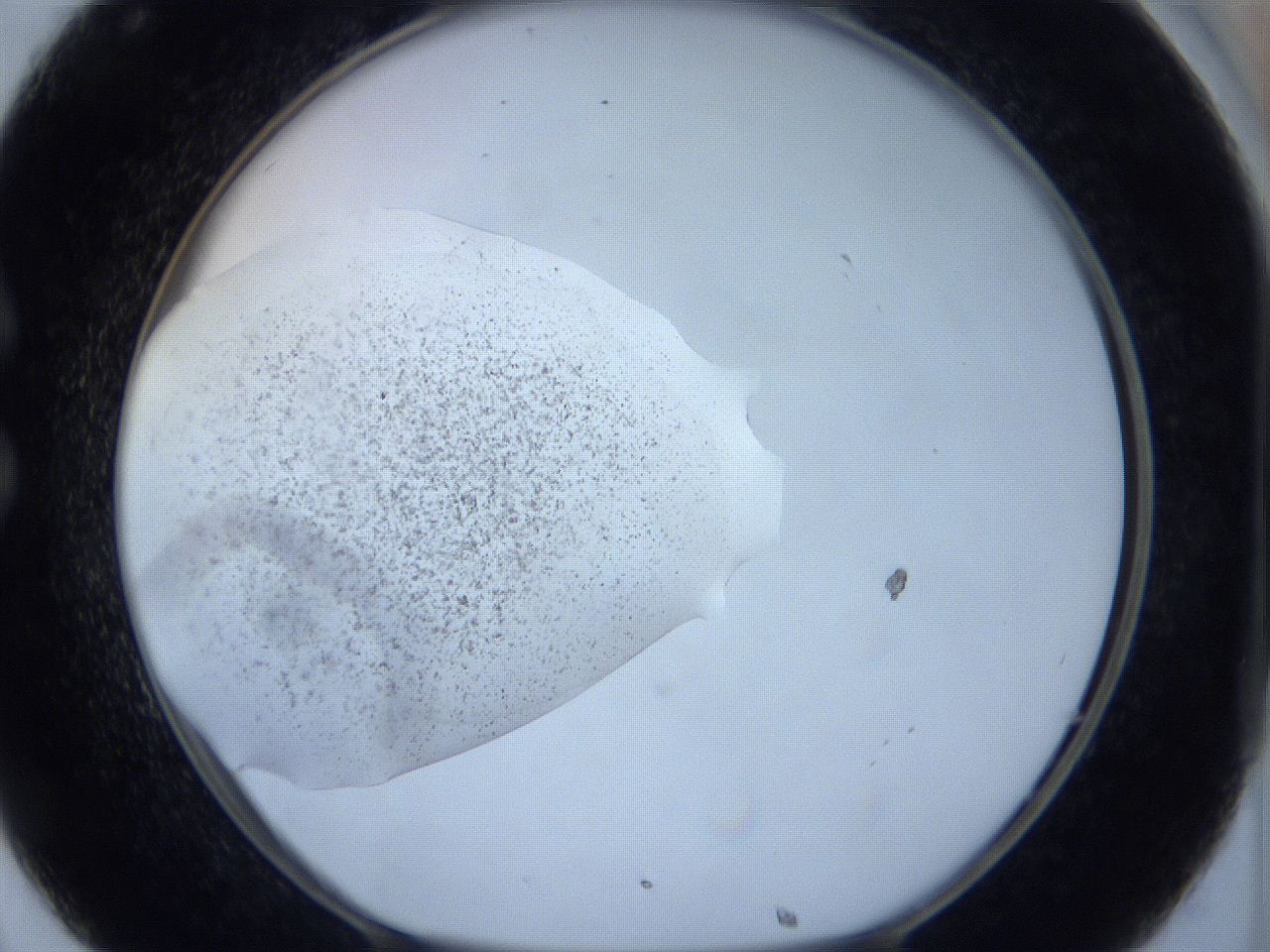 0644_C8_ImagerDefaults_6.jpg