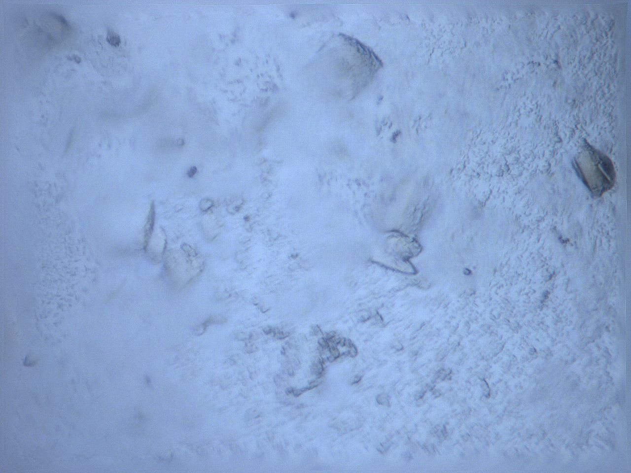 0644_A5_ImagerDefaults_9.jpg