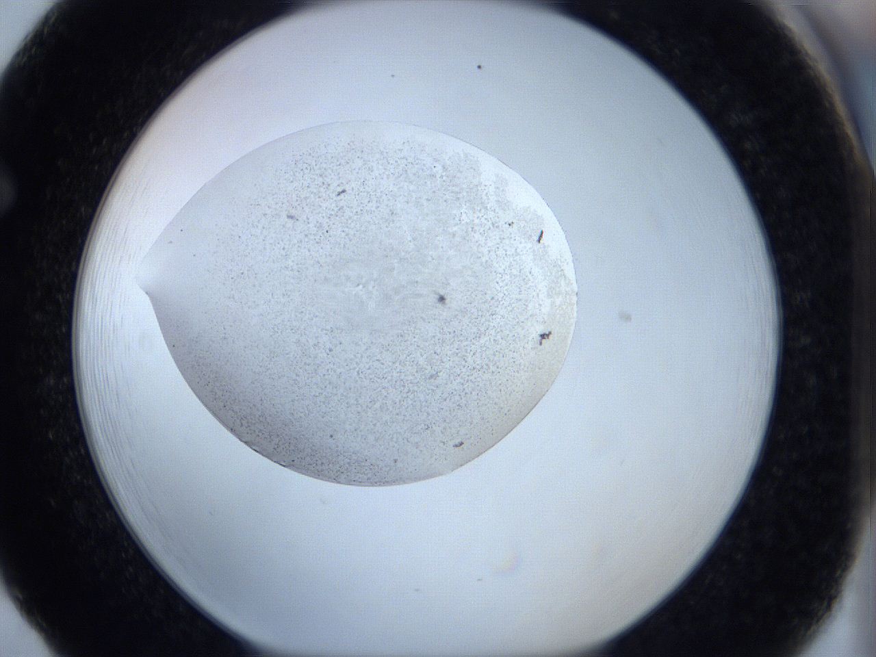0644_F5_ImagerDefaults_6.jpg