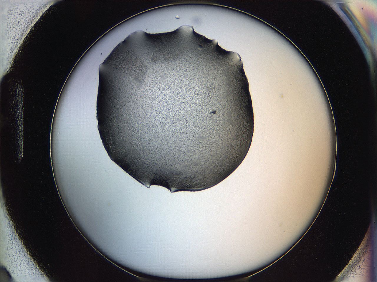 0645_H3_ImagerDefaults_6.jpg