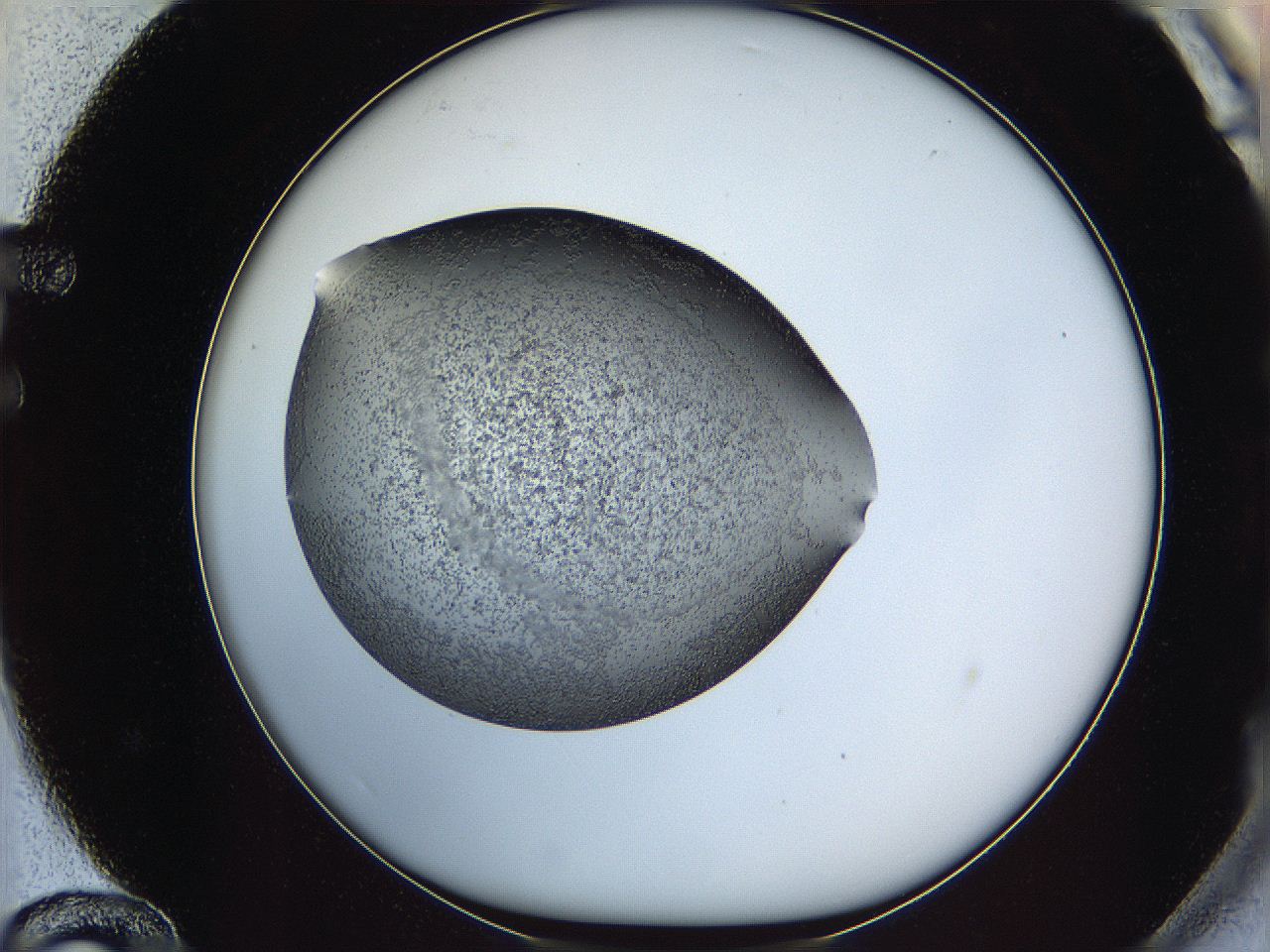 0645_F12_ImagerDefaults_6.jpg