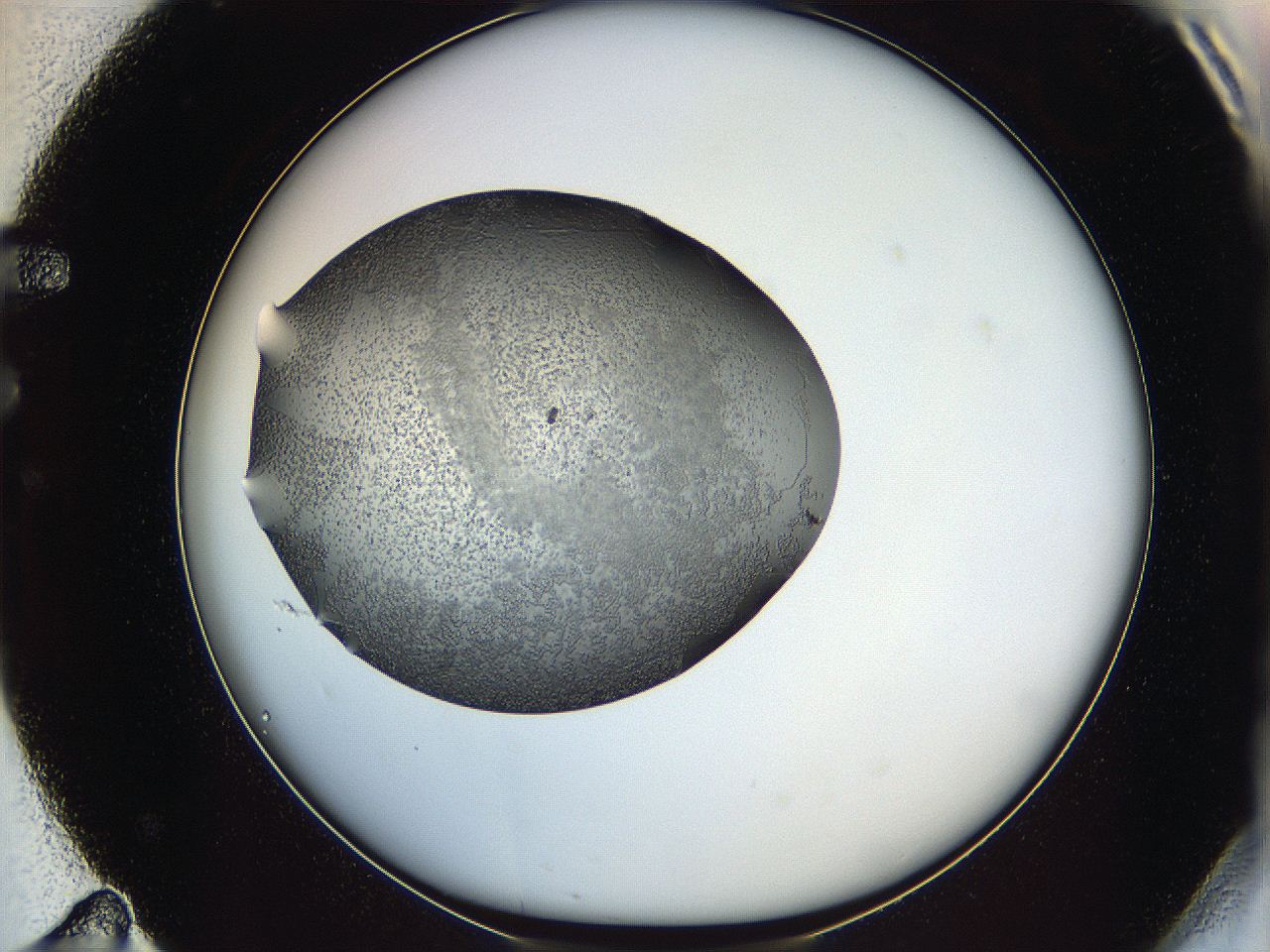 0645_F11_ImagerDefaults_6.jpg