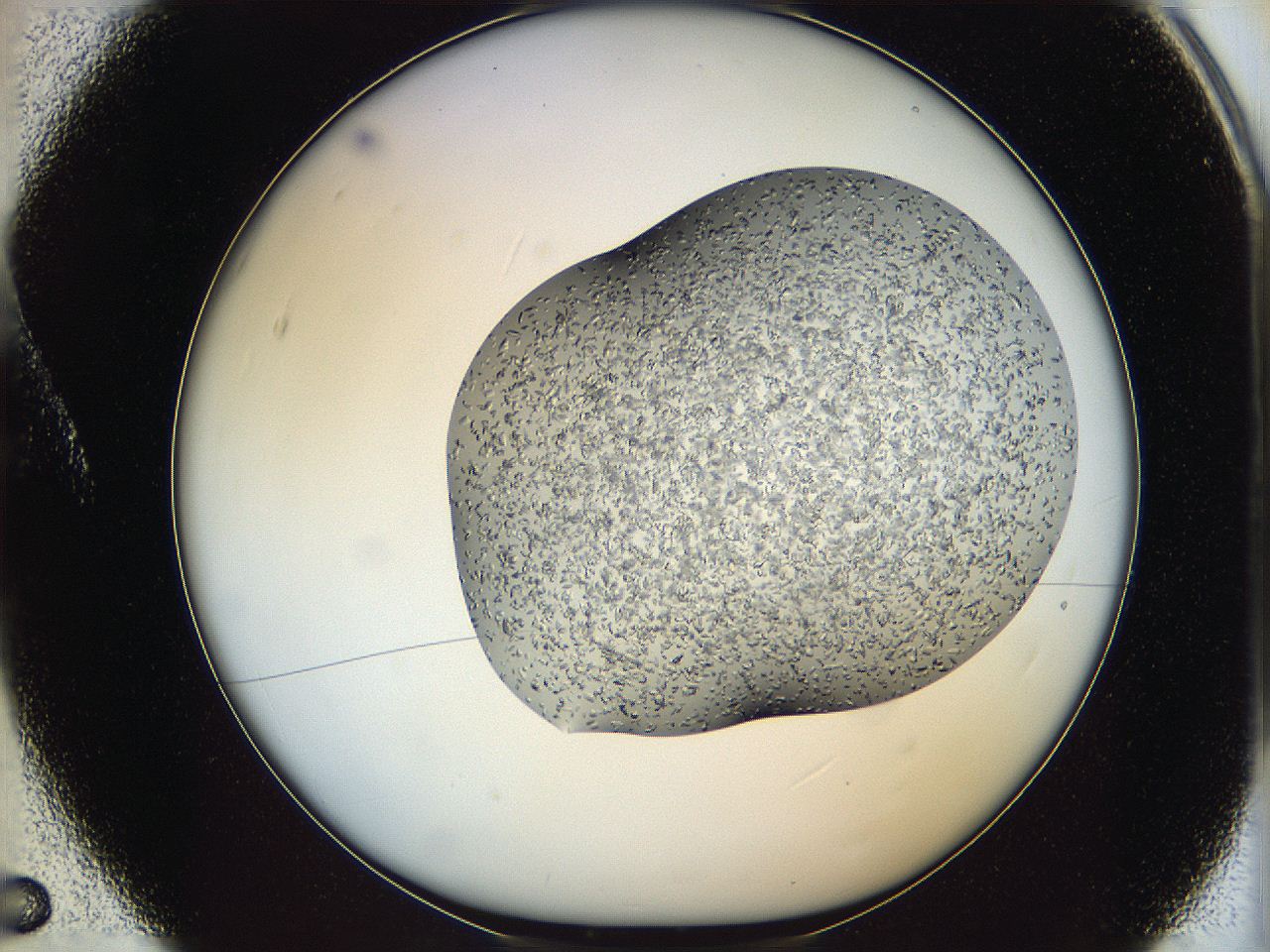 0645_A5_ImagerDefaults_8.jpg