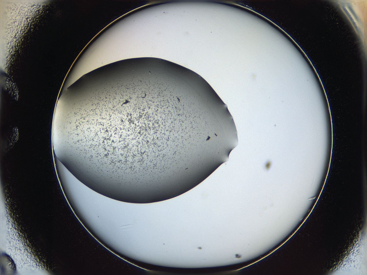 0645_C8_ImagerDefaults_6.jpg