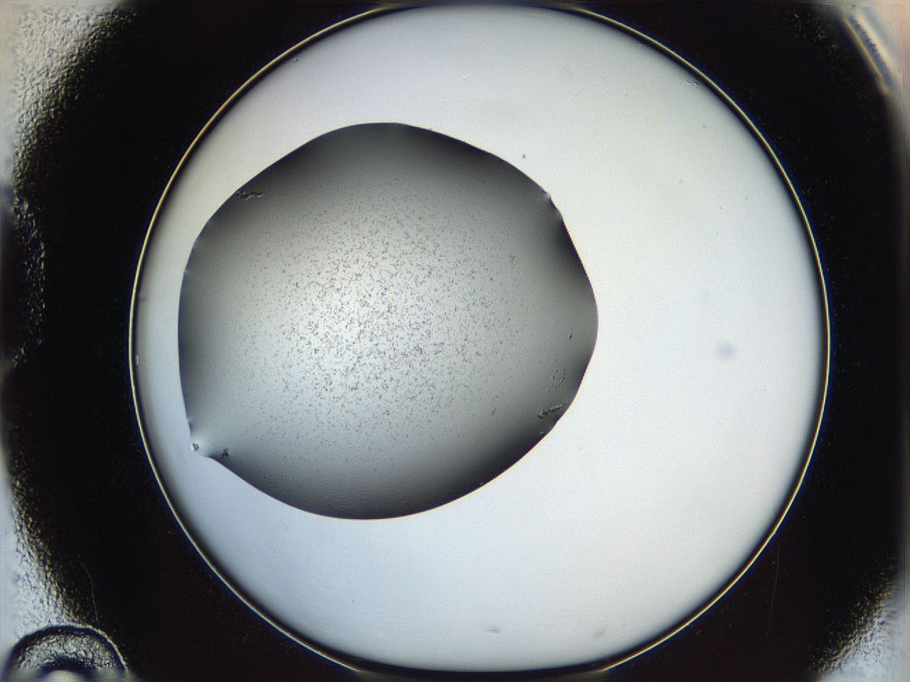 0645_D10_ImagerDefaults_6.jpg